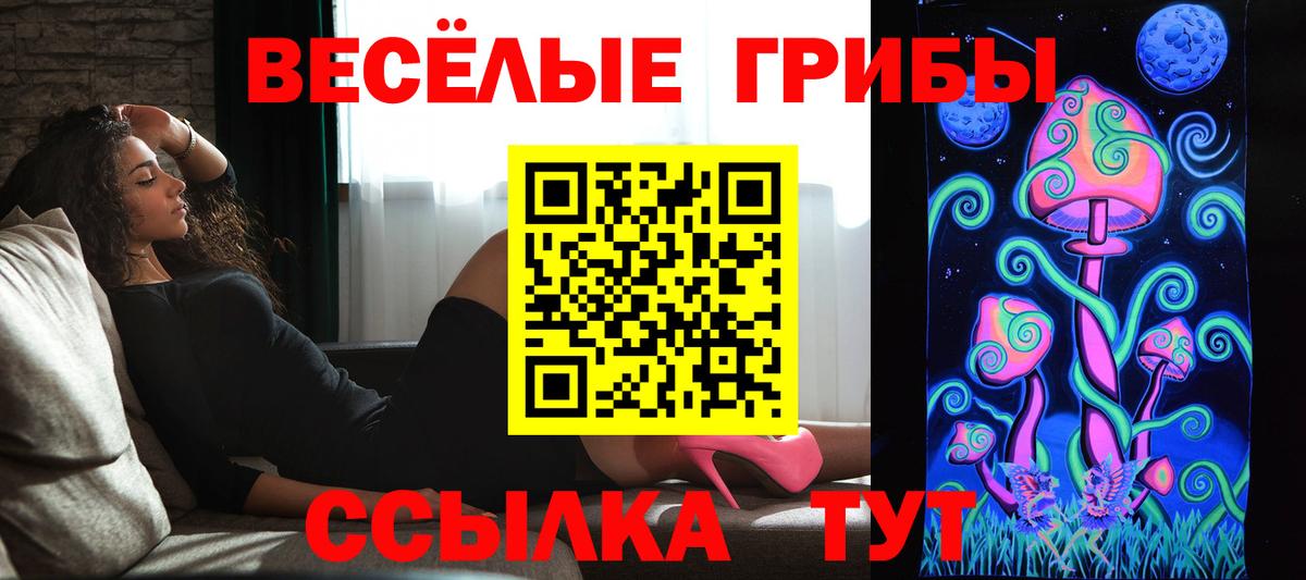 Новосибирск  Галлюциногенные грибы GOLDEN TEACHER  Вход с VPN 